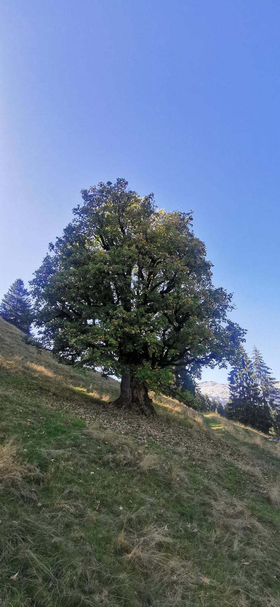 Gasthof Kreuz Marbach Dış mekan fotoğraf