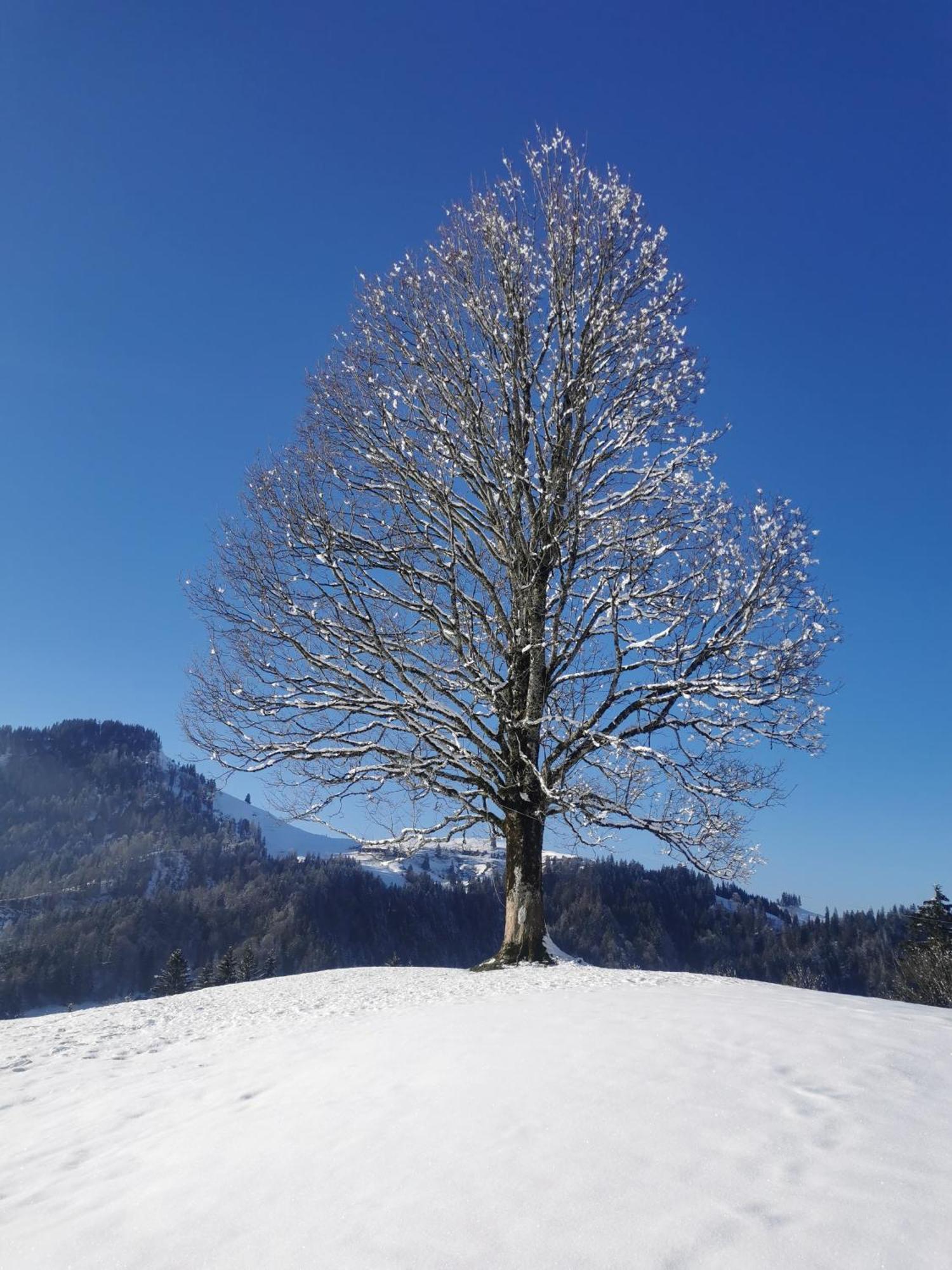 Gasthof Kreuz Marbach Dış mekan fotoğraf