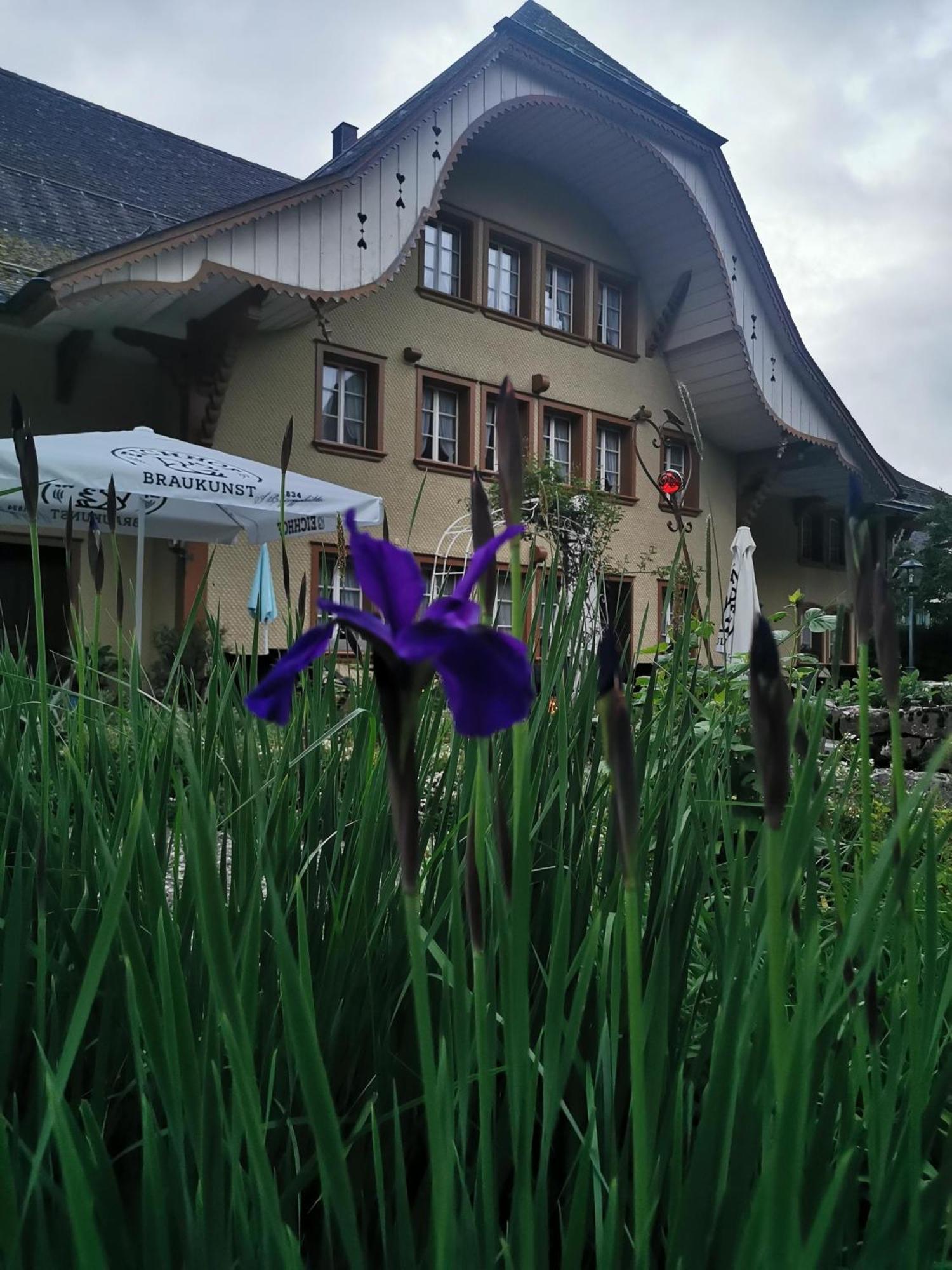 Gasthof Kreuz Marbach Dış mekan fotoğraf