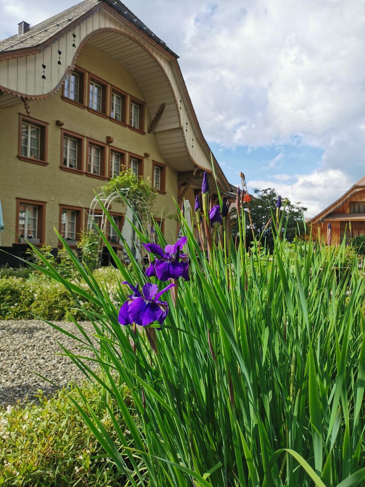 Gasthof Kreuz Marbach Dış mekan fotoğraf
