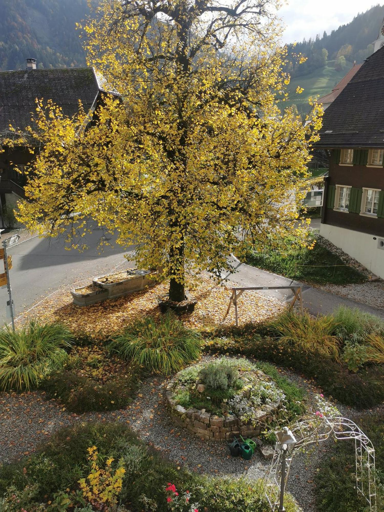 Gasthof Kreuz Marbach Dış mekan fotoğraf